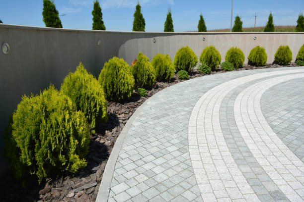 Best Professional Driveway Pavers  in Placerville, CA